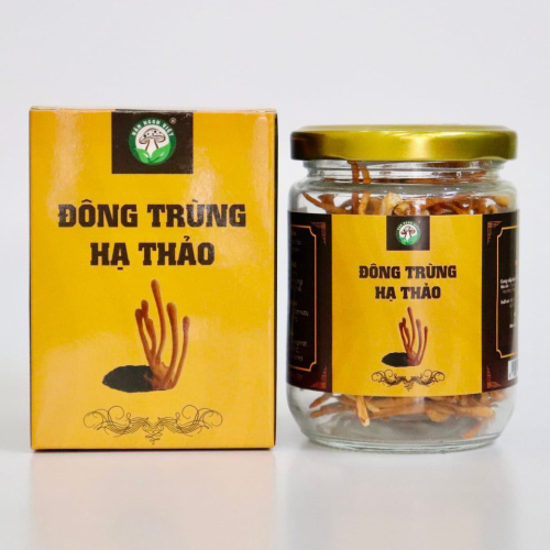 Đông Trùng Hạ Thảo Sấy Khô (Tiêu chuẩn 10 gram)